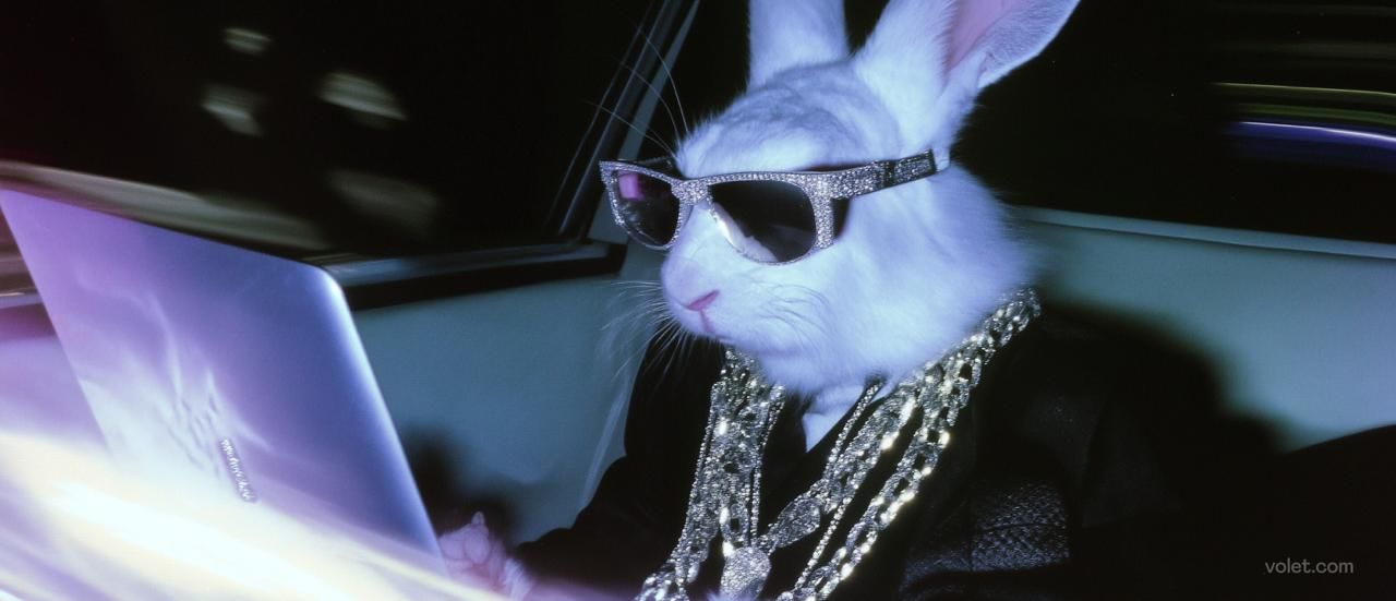 Os melhores serviços de transferência bancária para transações rápidas e seguras